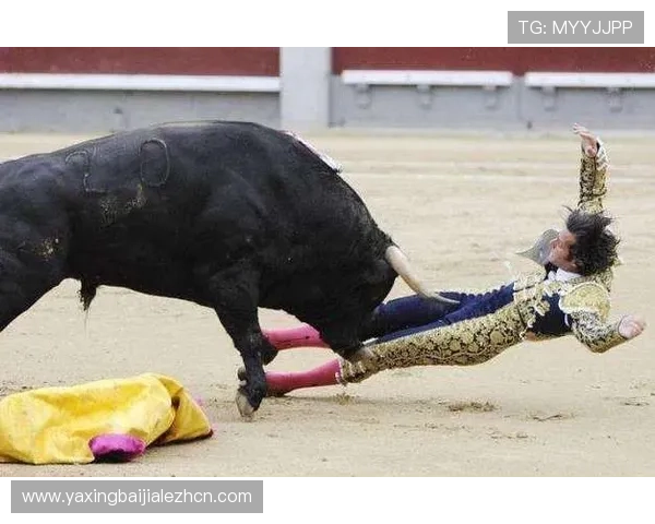 最新真人斗牛网址大全带你畅享真实刺激的斗牛娱乐体验