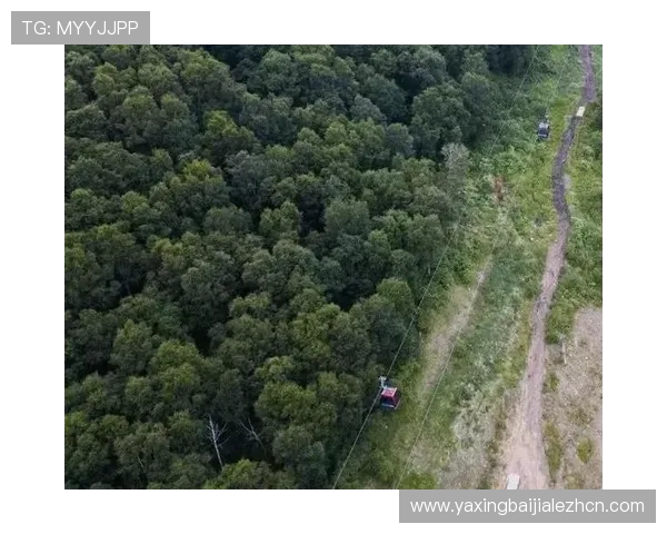 云顶金花阁介绍：云顶金花阁的主要功能与旅游价值全面解读